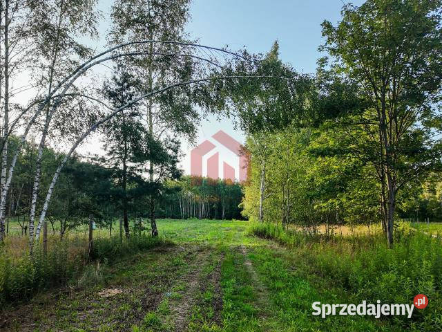 Działka 900m2 Czarna Sędziszowska podkarpackie