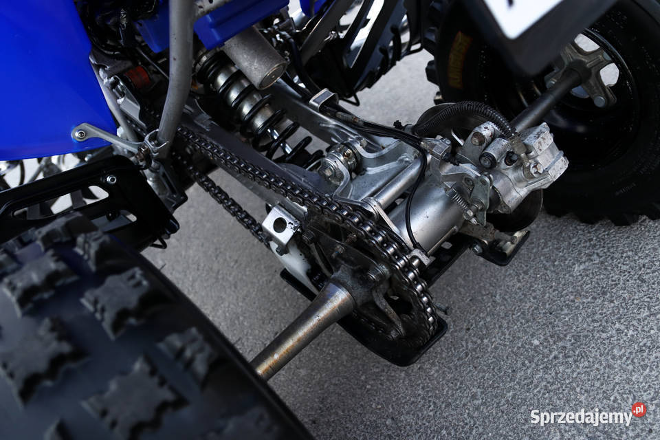 YAMAHA RAPTOR YFM 350R Reverse Edition Nerfbars Rok produkcji 2008 Pińczów sprzedam