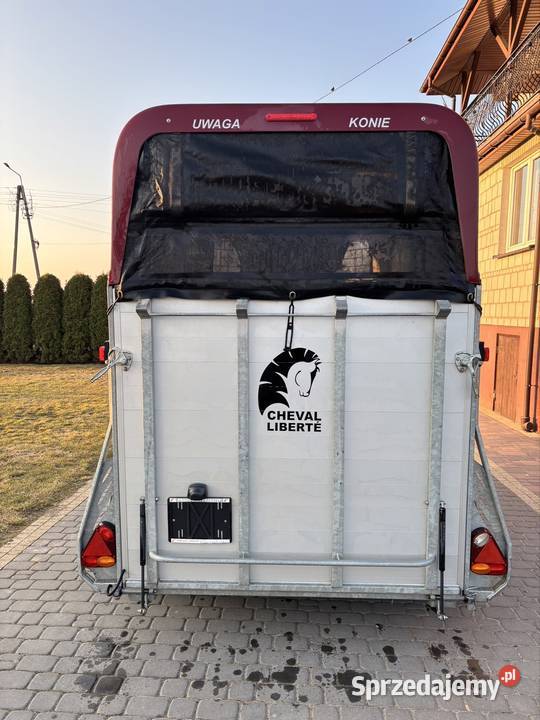 Przyczepa do koni Cheval Liberte niskie Dmc Radziłów