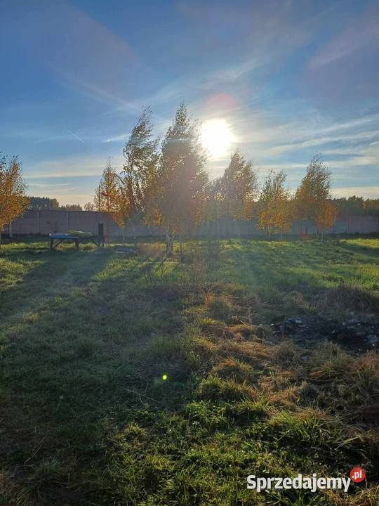 Siedlisko 1 ha dom 120m2 i budynki 700 m2 10000m2 Nasielsk