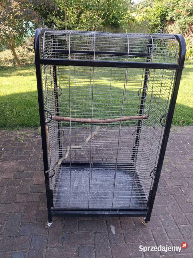 Klatka wielkopolskie Kliny