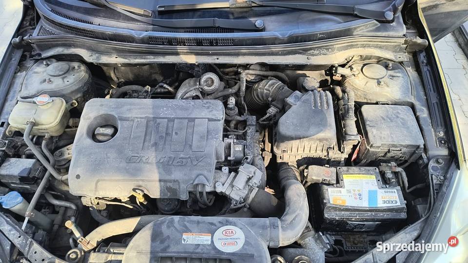 KIA CEED 2011r 16 CRDI 116KM sprzedam