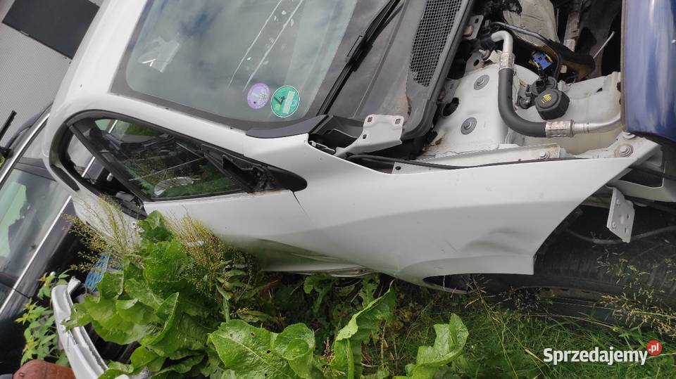 Części Megane iii ov369 drzwi błotnik deska Sade Budy