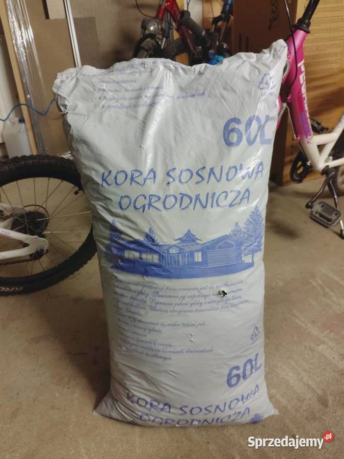 Kora ogrodowa średnia