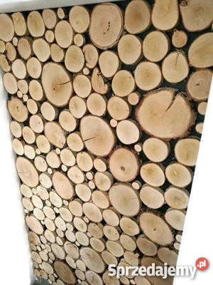 Plastry na ściane krążki drewniane 1m2 Rybnik
