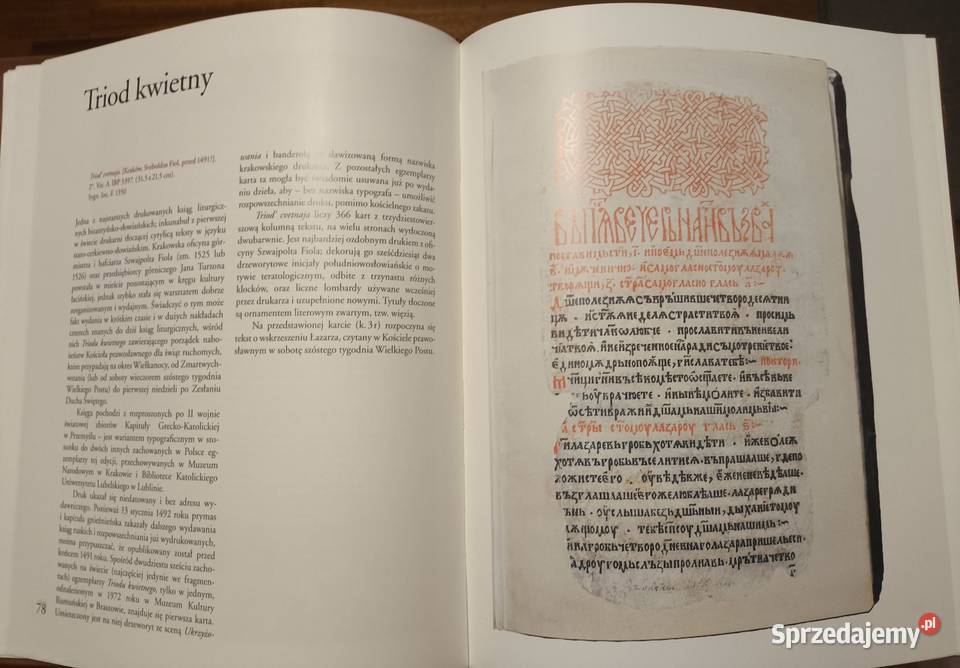 złoto droższe Album sztuka i architektura Warszawa