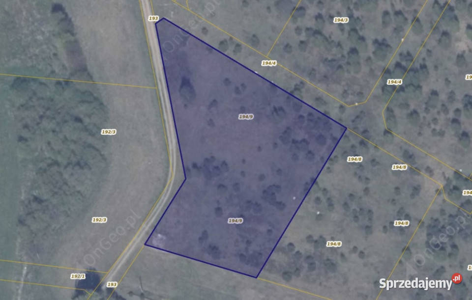 Działka 1949 w miejscowości Ełganowo Sprzedaż