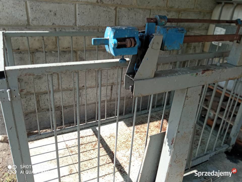 Waga inwentarzowa do bydła trzody świętokrzyskie Przełaj Czepiecki sprzedam