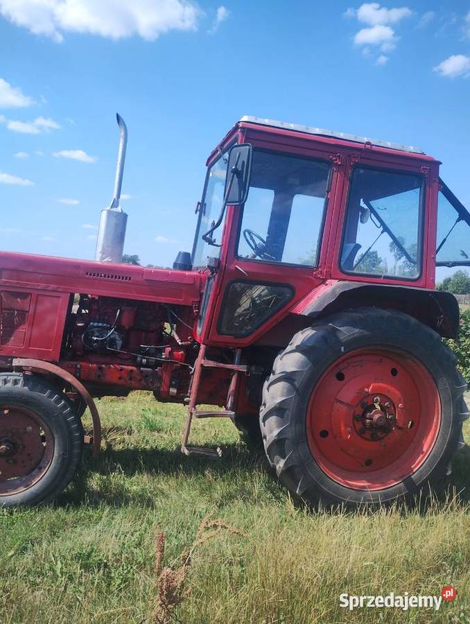 mtz 50 wielkopolskie Piecewo