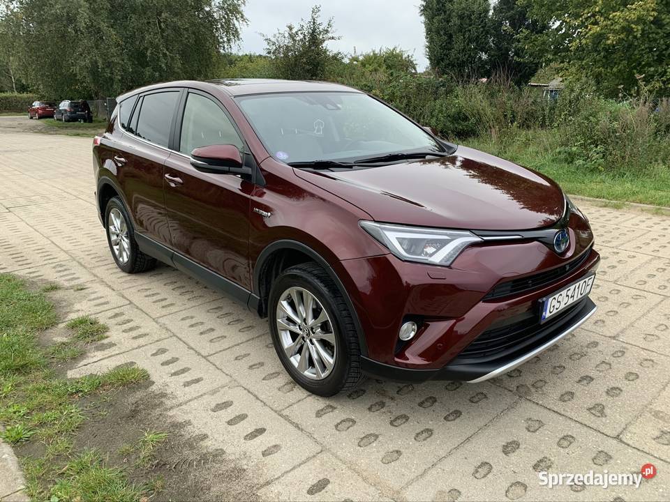Toyota RAV4 25 Hybrid 2017 Słupsk