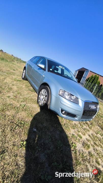 Audi A3 8P Sporback Oleśnica