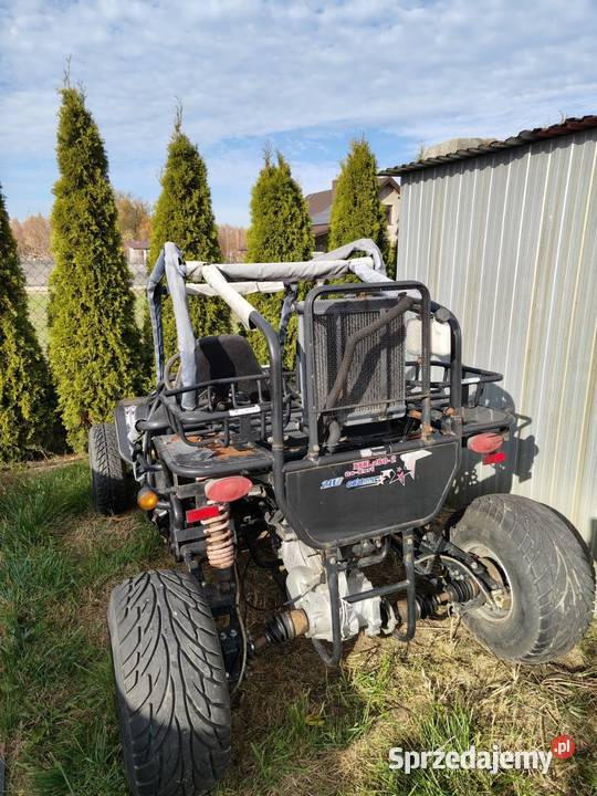 Buggy GS Moon 2602 Pozostałe