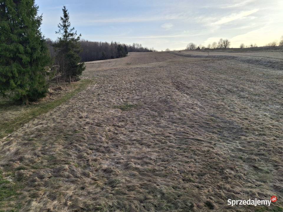 Działka rolno budowlana małopolskie Bochnia