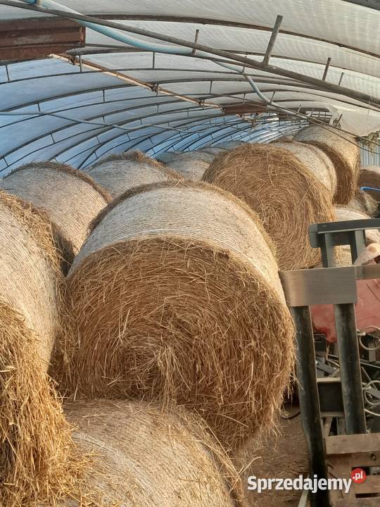 słoma siano Bobolice