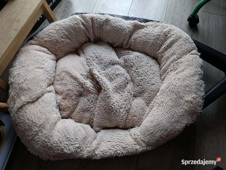legowisko psa kota Poznań