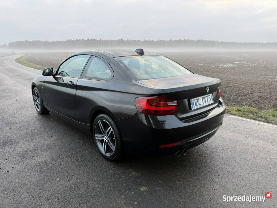 BMW 220 20i 184 68 B48 Bezwypadkowy Navi ASR (kontrola trakcji) Ocice sprzedam