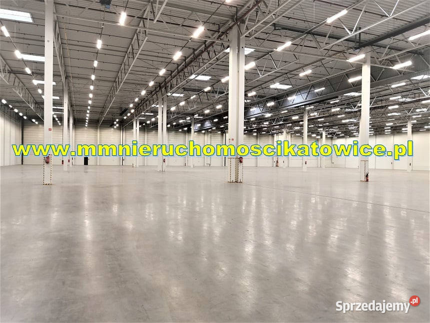 Magazyny do wynajęcia 200 10000 m2 Będzin wysoki parking
