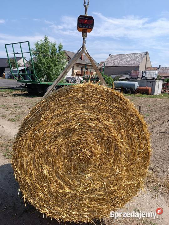 Sprzedam słomę jęczmienną Górki sprzedam