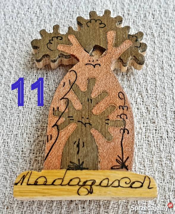 Madagaskar Madagascar Magnes na lodówkę Kobyłka