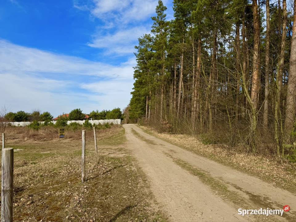 Działka budowlana Jaźwiny koło Trzebnicy prąd