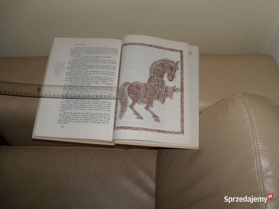 Córka smoka Chińskie opowiadania fantastyczne