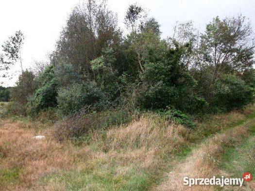 Do Działka Rolna w gm Strzegowo 10000m2 Mława