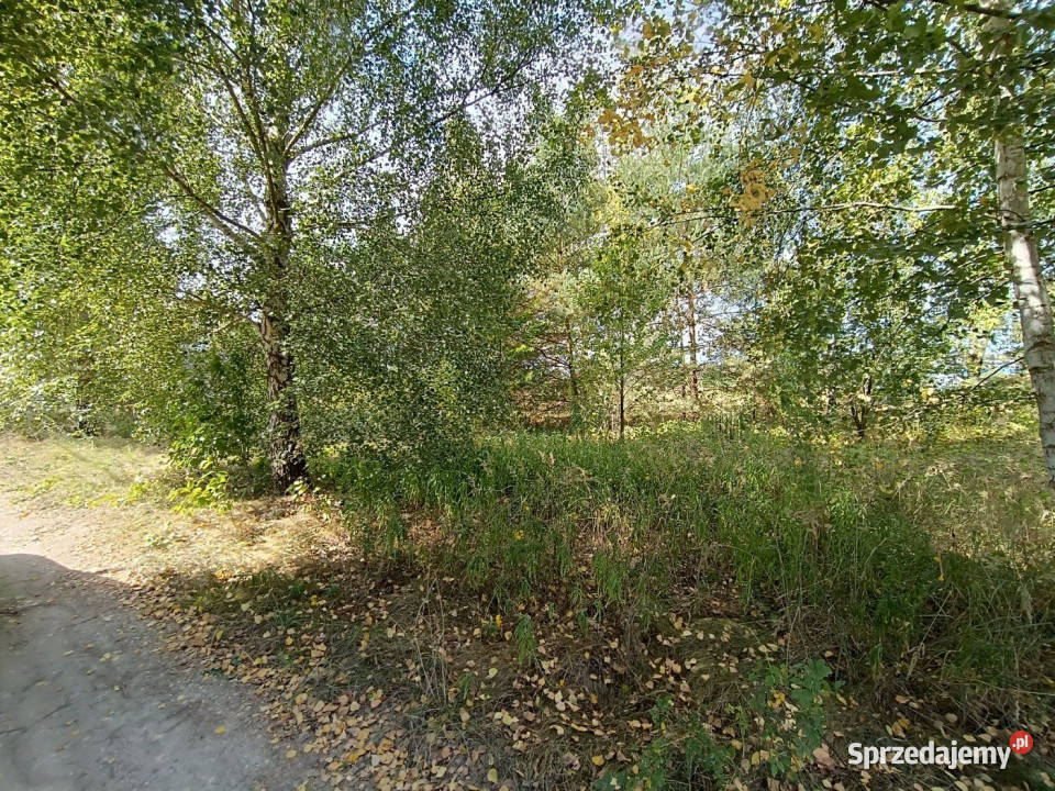 Działka Bilcza Świętokrzyska 860m2 świętokrzyskie