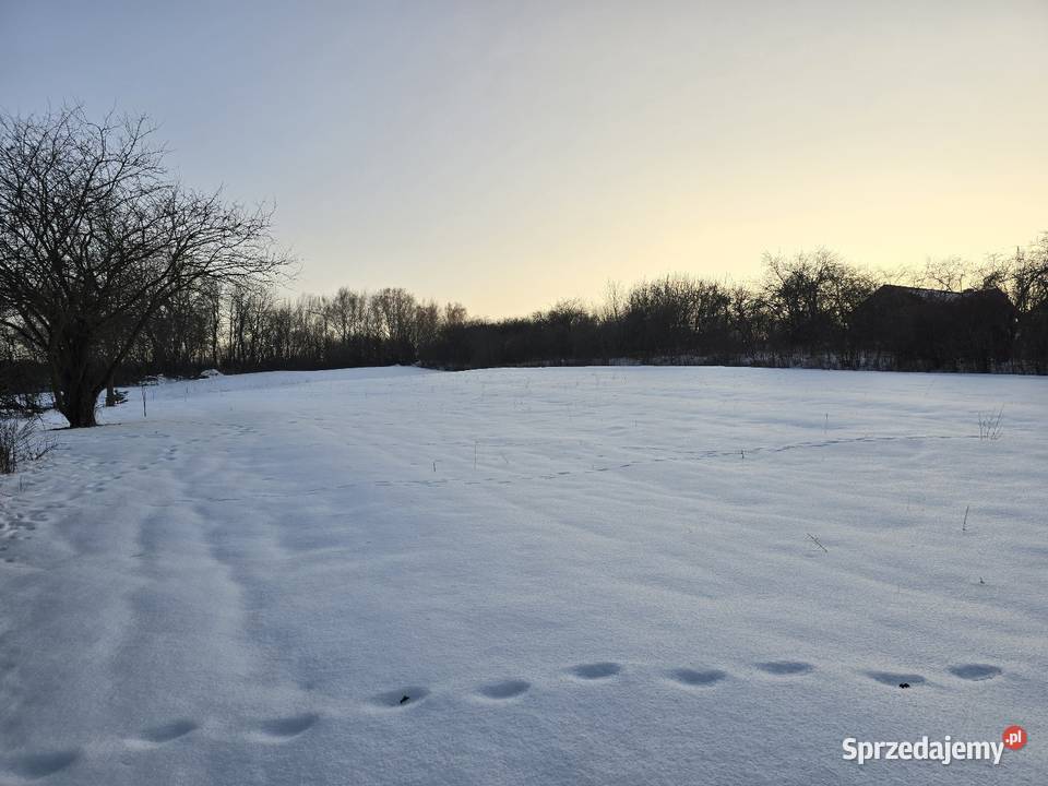 Działka rolnobudowlana Kamień Nowy koło 63zł/m2 świętokrzyskie Nowy Kamień