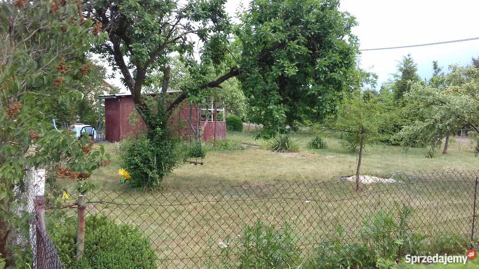 Działka ROD Stokrotka rekreacyjna Opole