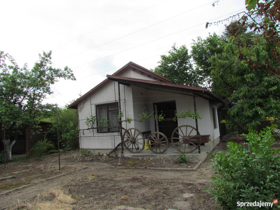 SPRZEDAM DZIAŁKĘ w ROD łódzkie