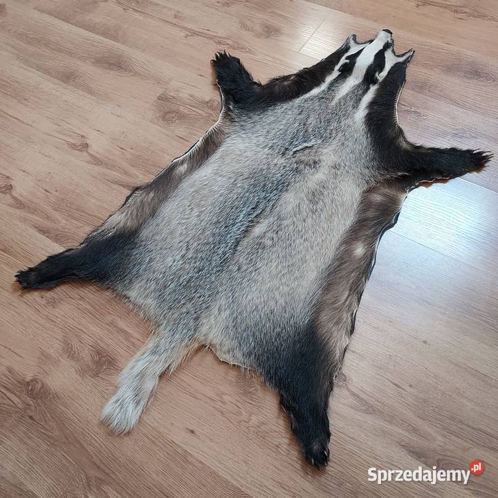 Skóra Naturalna BORSUK Skóra Dekoracyjna z małopolskie