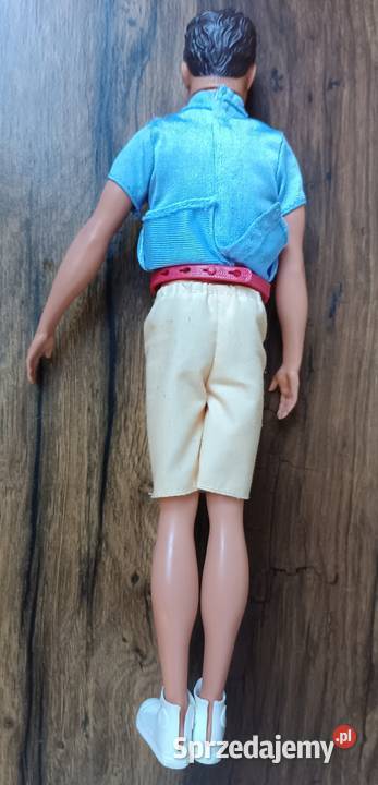 Barbie Zestaw Ken kariera zawodowa Psi trener Zbylitowska Góra