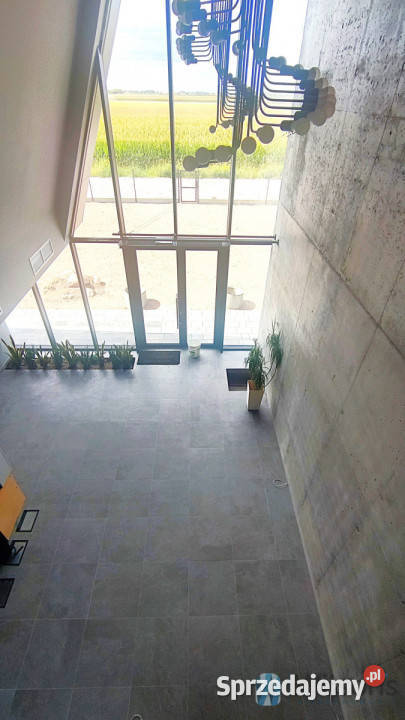 Lokal 129m2 Warszawa Szeligowska 129m2