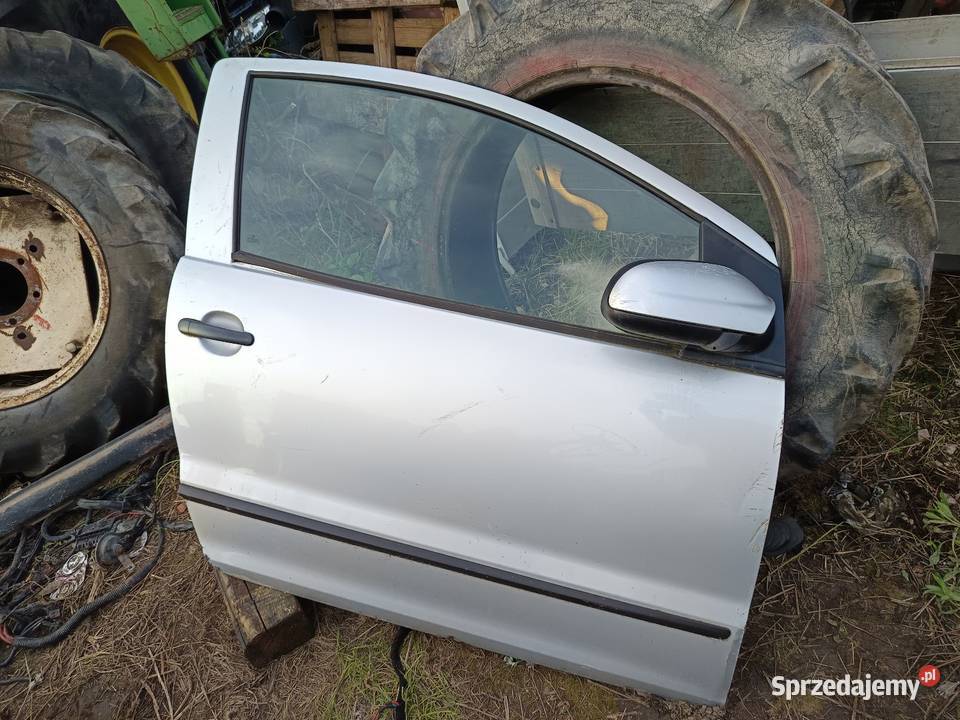VW VOLKSWAGEN FOX DRZWI PRZÓD prawe Busko-Zdrój
