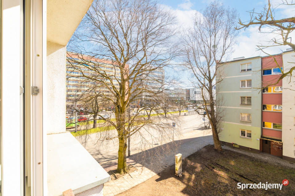 Kawa w Galaxy spacer w Parku biuro i dom w 1 Sprzedaż Szczecin