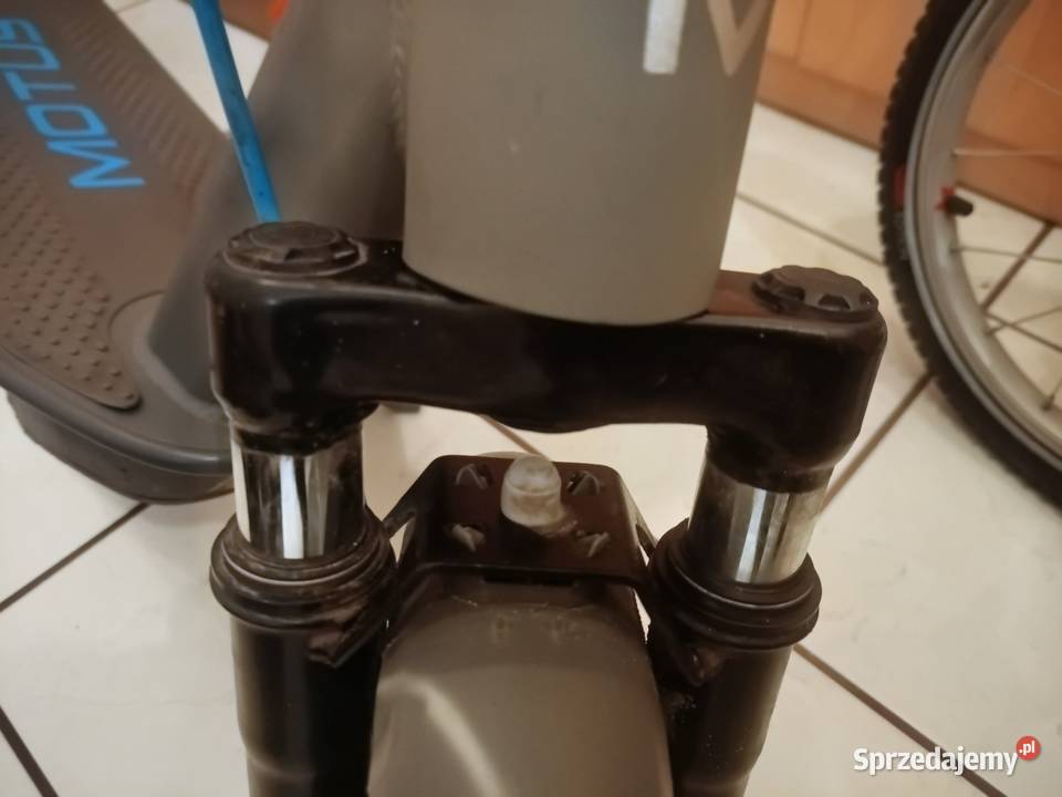 Hulajnoga Motus Scooty 10 Plus 2023