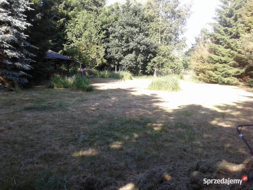 wakacyjna działka morzem do wynajęcia Karwieńskie Błoto Drugie