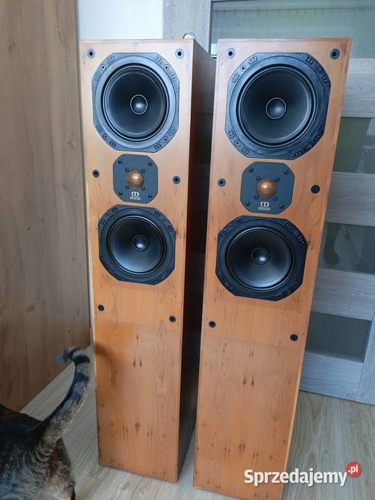 Kolumny Monitor Audio Gold ma1800 zachodniopomorskie Choszczno