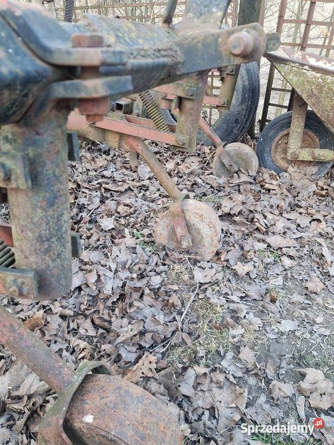 Sprzedam piernik do ziemniaków nieuszkodzony Iżyce