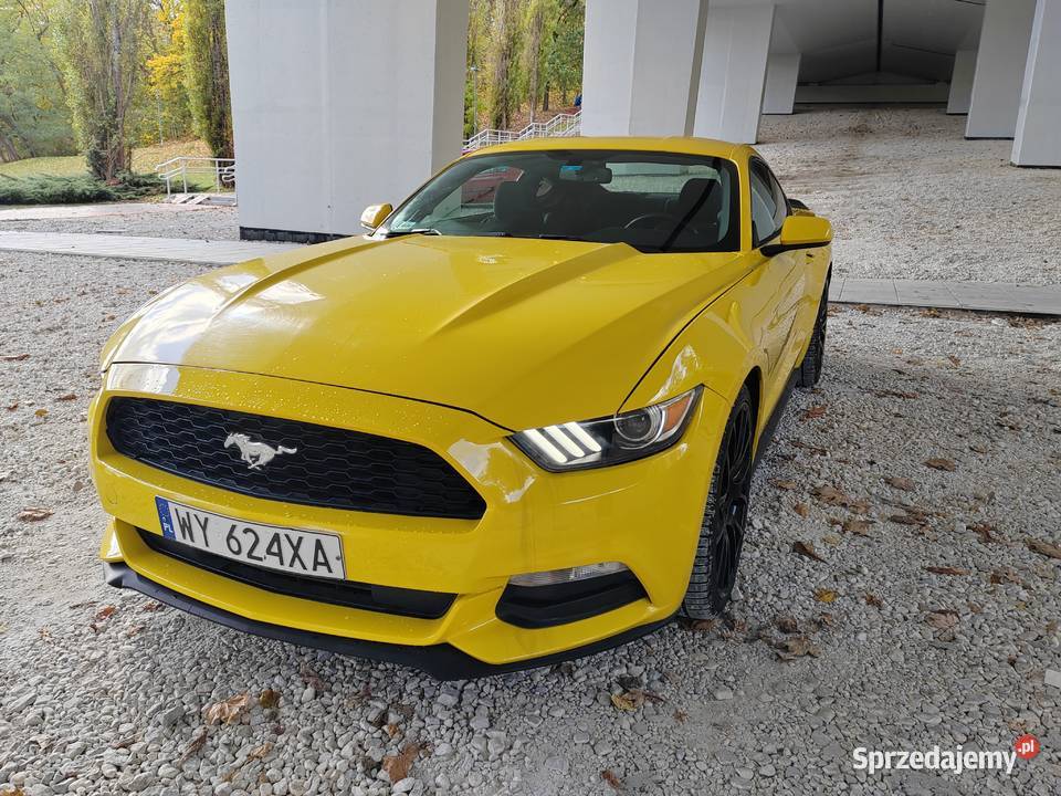 Ford mustang 37 Warszawa