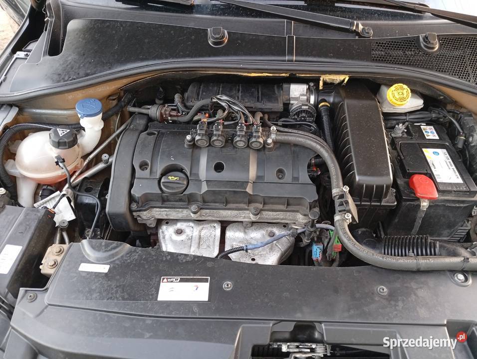 Citroen celysee polski salon Kłodawa