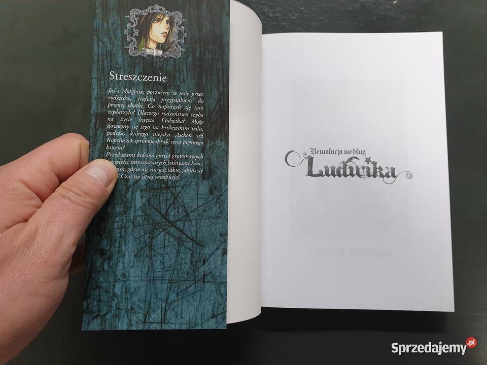 Ludwika tom 3 Manga Polskie Gdynia