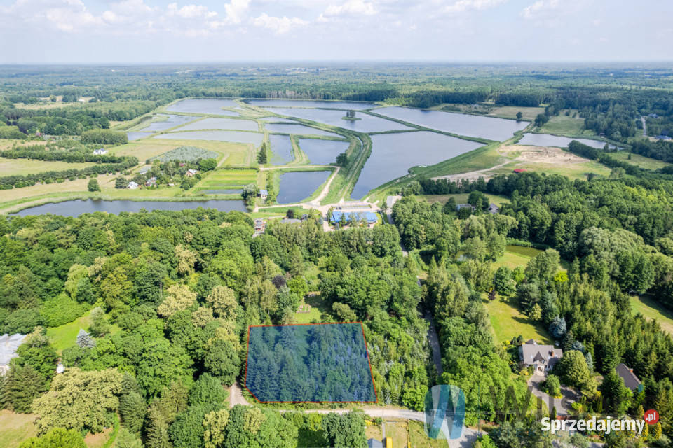 Sprzedaż gruntu Grzegorzewice Macierzanki 2200m2