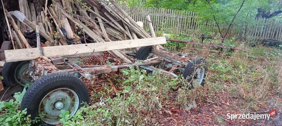 Wozy konne i przyczepka Jelenia Góra sprzedam