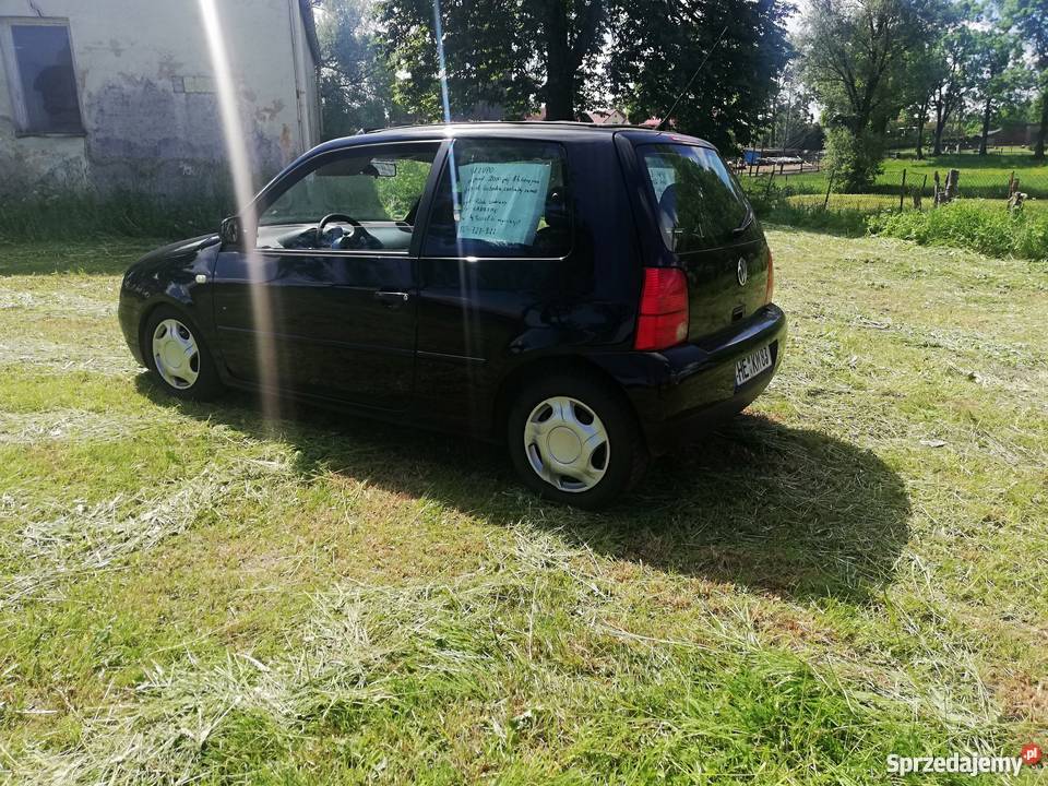 Lupo gotowe do rejestracji manualna