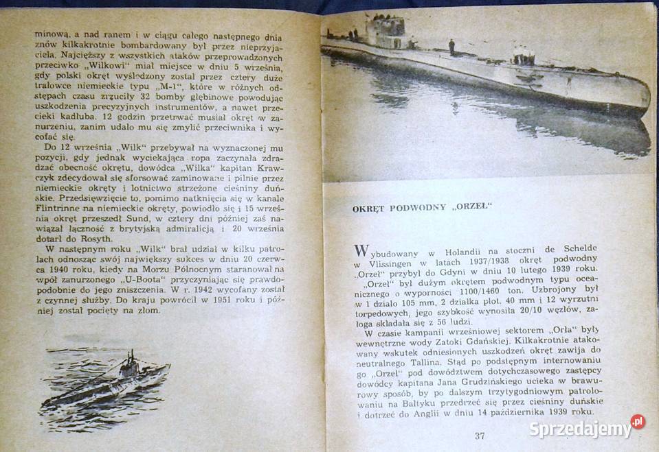 Pod polską banderą wojenną na Zachodzie 19391945 miękka Chełm