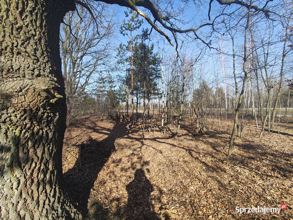 Działka w Sulejówku 1700m2 Sulejówek
