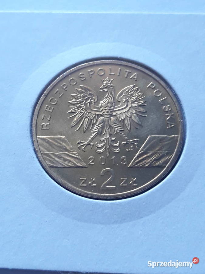 2 Żubr2013 rUNC Numizmatyka Konin sprzedam