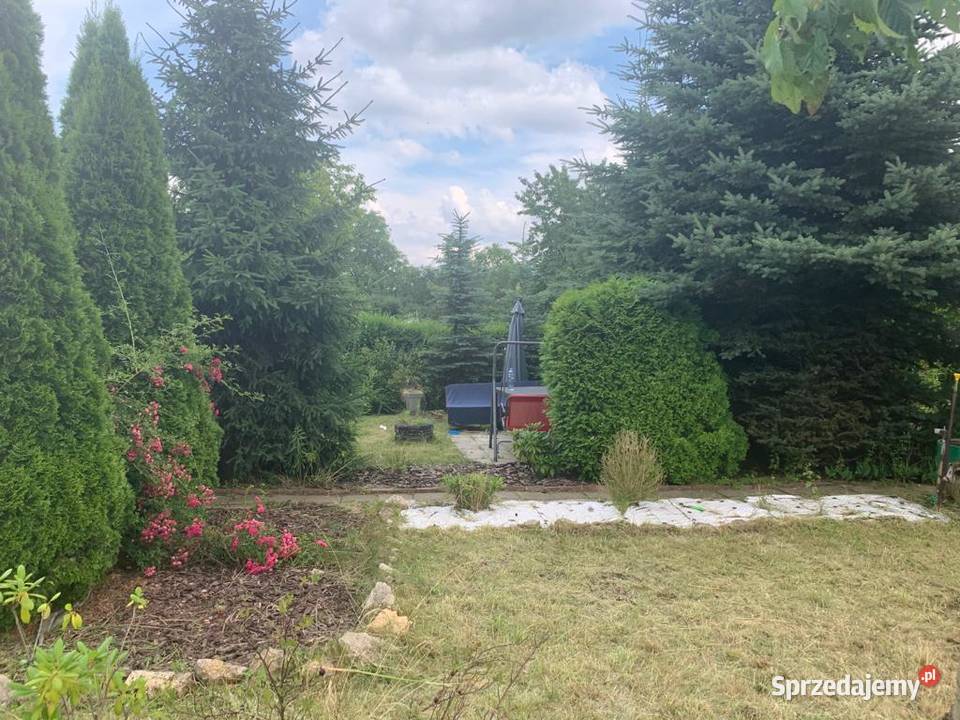 Ogródek działkowy ROD Miejski w Czeladzi Czeladź