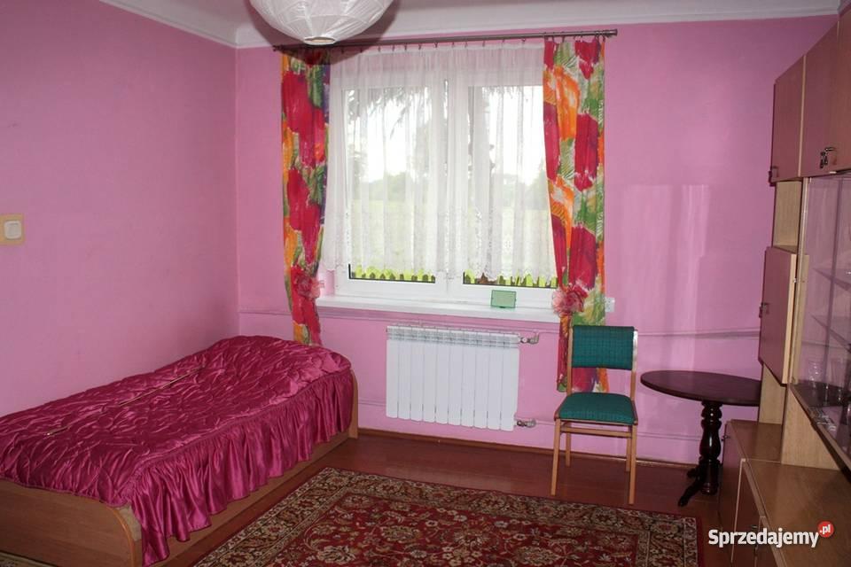 dom Żółwin kPodkowy Leśnej węglowe Domy Żółwin